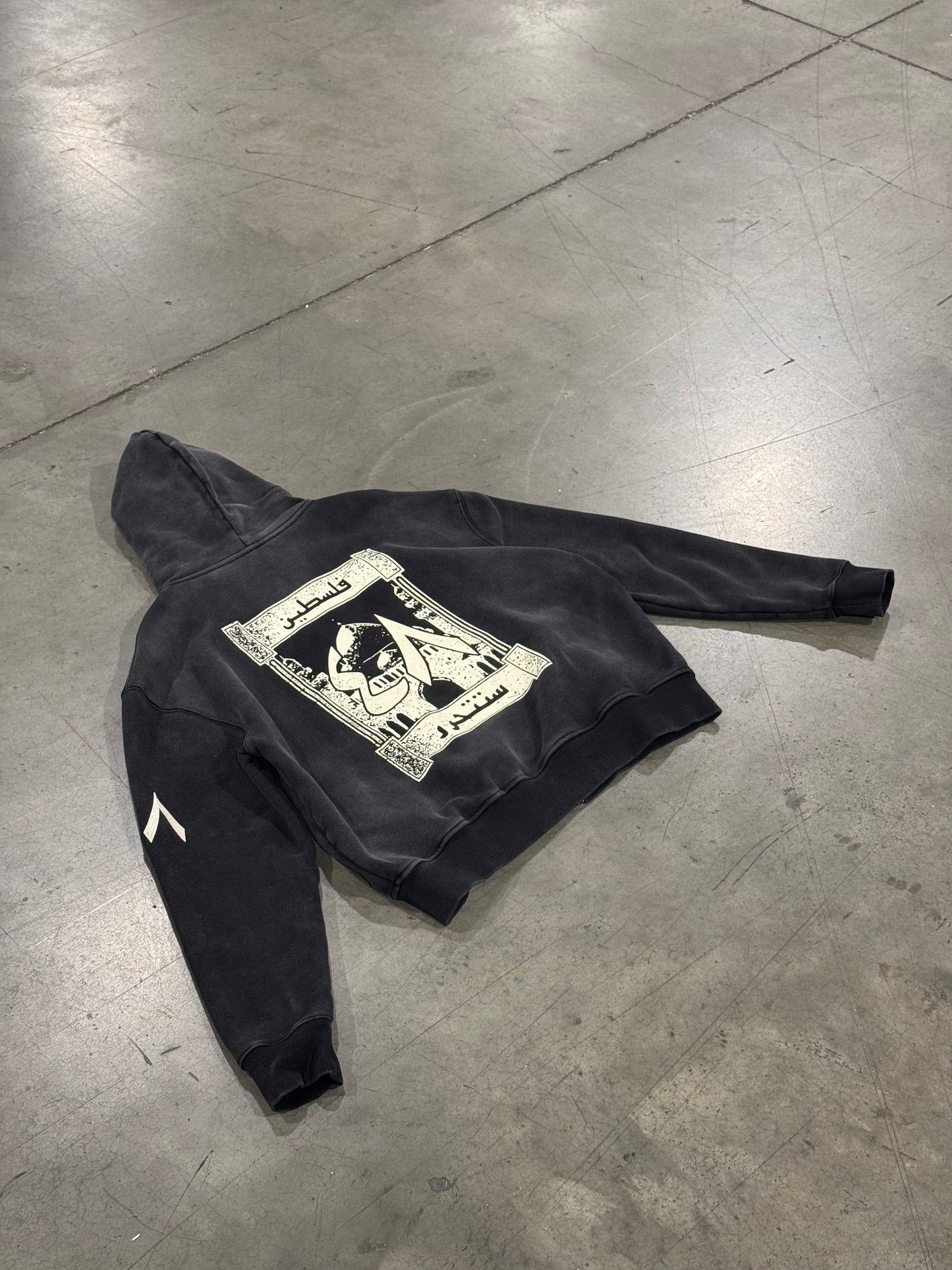 Palestine '٤٨' Hoodie