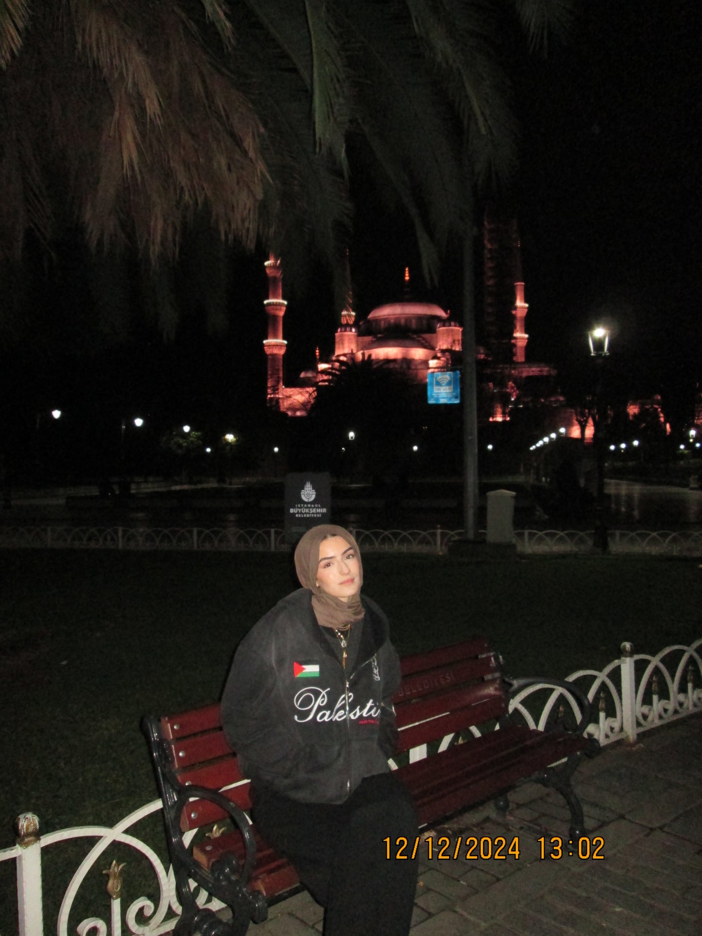 Palestine '٤٨' Hoodie