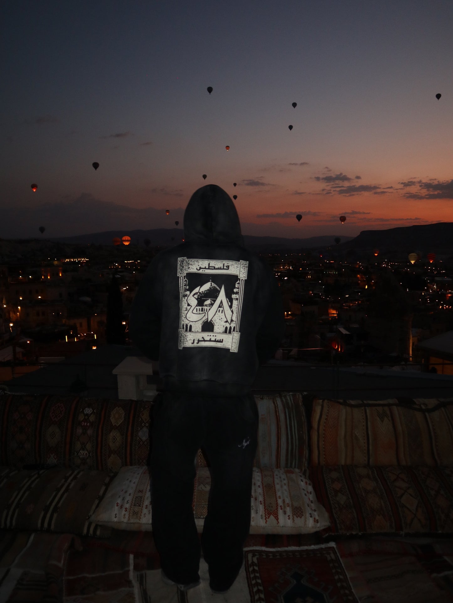Palestine '٤٨' Hoodie